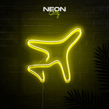 Plane