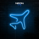 Plane